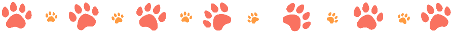 Paw print divider